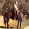sherylheafield